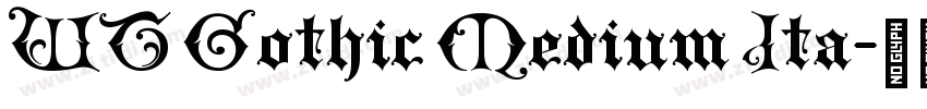 WT Gothic Medium Ita字体转换